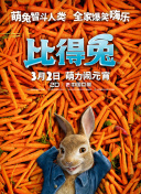 竞技风暴最新更新：新英雄与平衡调整